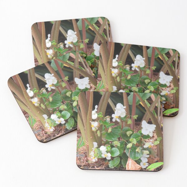 Item preview, White begonia bush designed and sold by greentiger1.