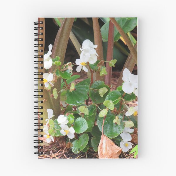 Item preview, White begonia bush designed and sold by greentiger1.