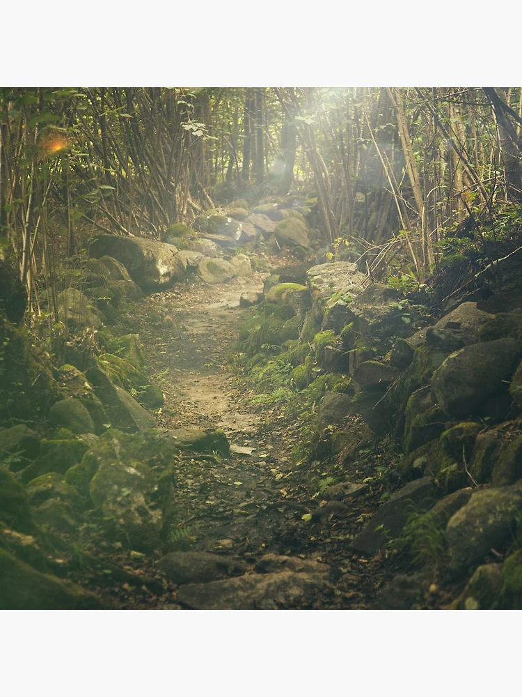 Thumbnail 4 of 4, Clock, Forest designed and sold by Olemon.