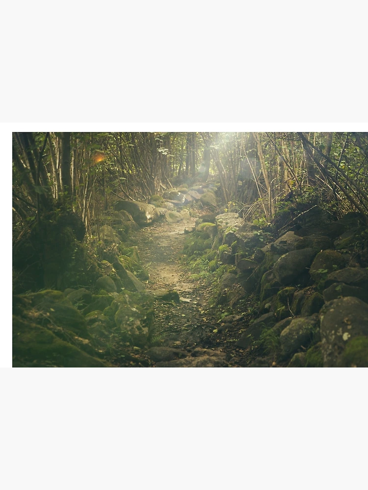 Thumbnail 6 of 6, Bath Mat, Forest designed and sold by Olemon.