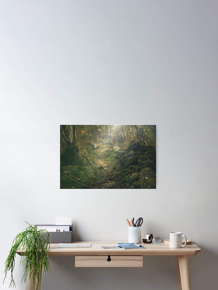 Thumbnail 2 of 3, Poster, Forest designed and sold by Olemon.