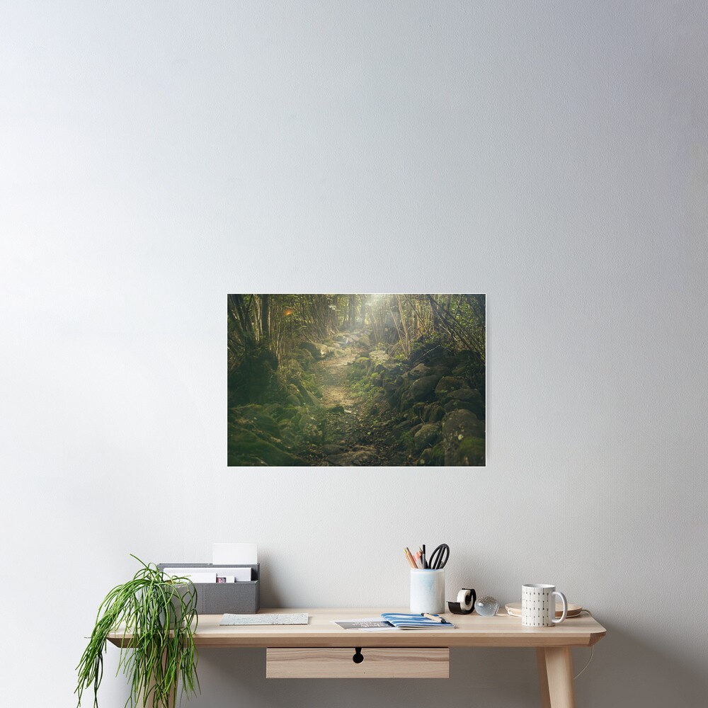 Item preview, Poster designed and sold by Olemon.