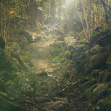 Artwork thumbnail, Forest by Olemon