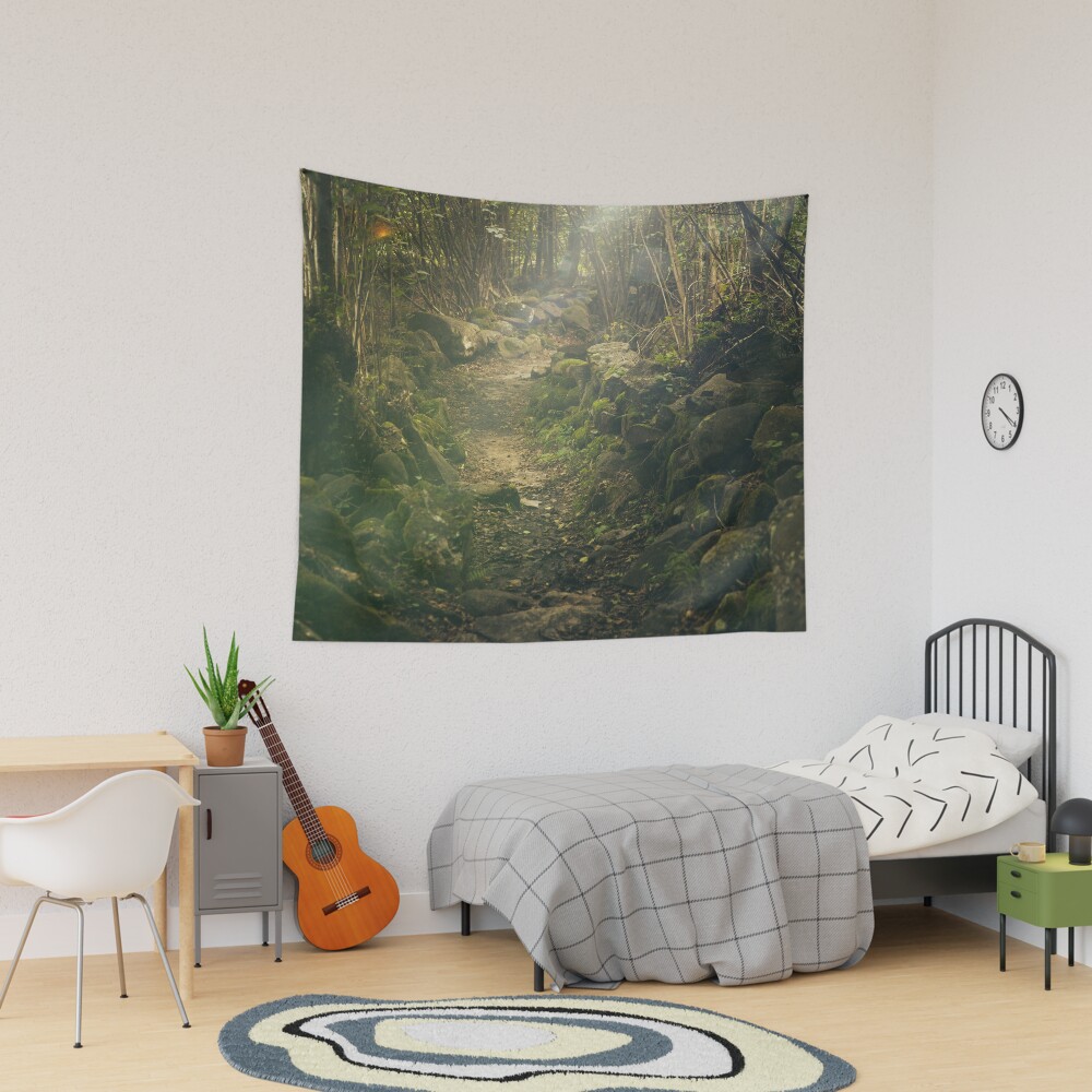 Item preview, Tapestry designed and sold by Olemon.