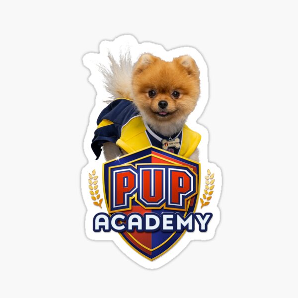 Pom Pom Pup Academy Show Sticker By Oldschool Kids Redbubble