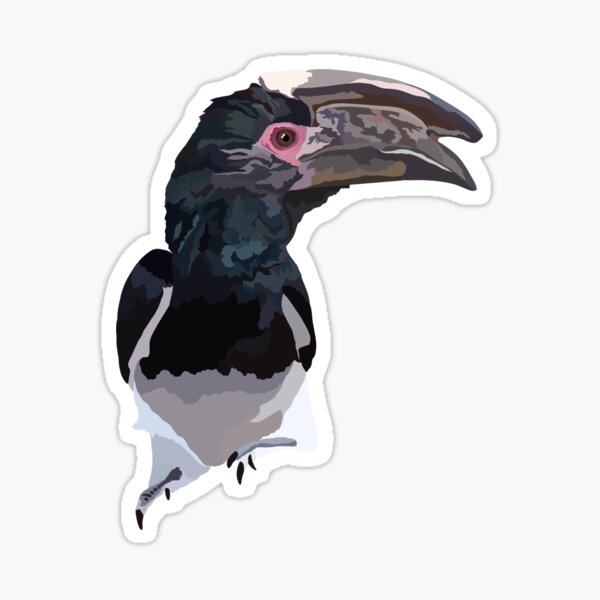 Item preview, T is for Trumpeter Hornbill,Trumpeter Hornbill Illustration – Exotic Bird Art for Wildlife and Nature Lovers designed and sold by PrettylittlepastelUk.