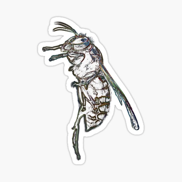 hornet, wasp t-shirt Sticker