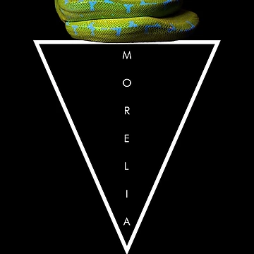 Artwork thumbnail, Green Tree Python Modern Geometric by JRRTs
