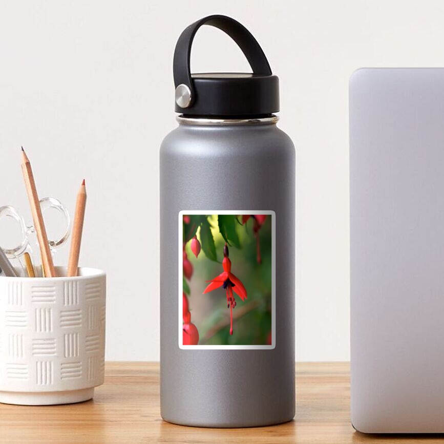 Single Wild Fuchsia Flower, Loch Na Fooey Sticker