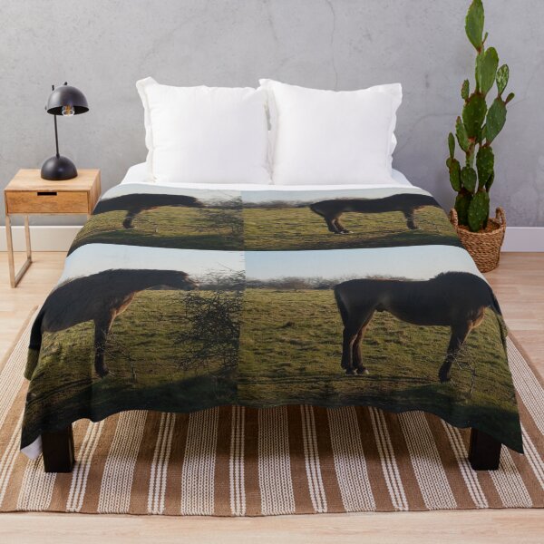 Item preview, Shadowy horse in a field. designed and sold by Andrew Hopgood.