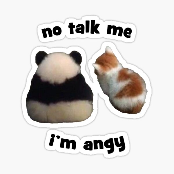 Don't talk to me I'm angy Panda Cat Sticker