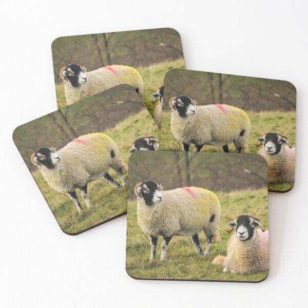 Item preview, Swaledale Sheep, Yorkshire Dales designed and sold by heidipics.