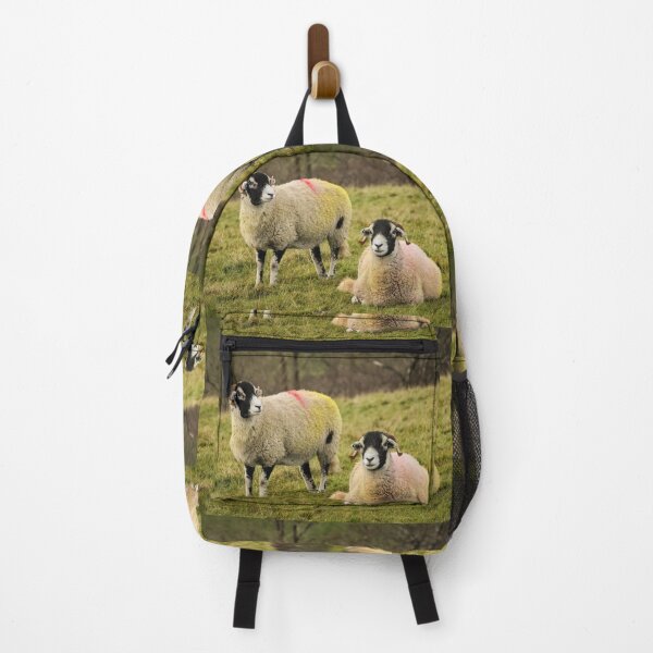 Item preview, Swaledale Sheep, Yorkshire Dales designed and sold by heidipics.