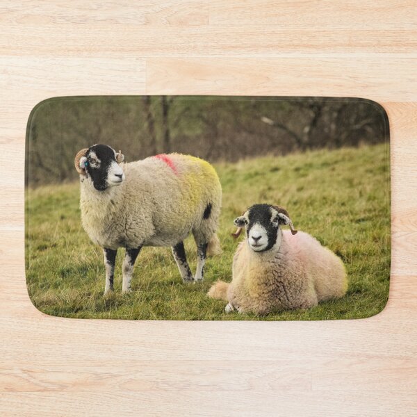 Item preview, Swaledale Sheep, Yorkshire Dales designed and sold by heidipics.