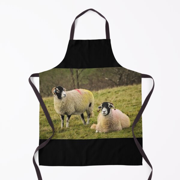 Item preview, Swaledale Sheep, Yorkshire Dales designed and sold by heidipics.