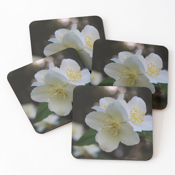 Item preview, Beautiful white flowers with four petals designed and sold by Mahirov Shop.