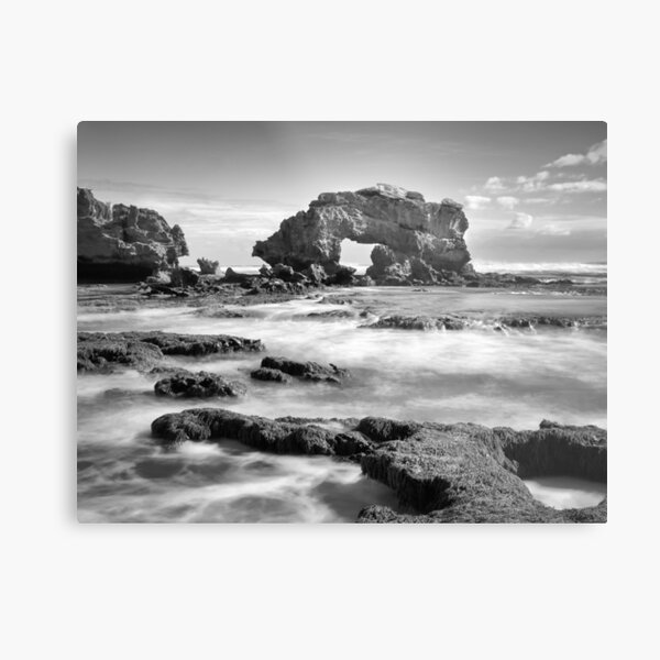 Metal Print