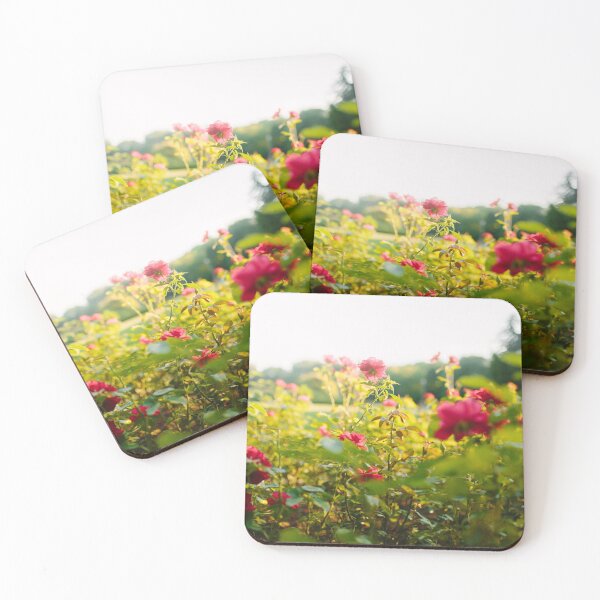 Item preview, Beautiful red rose flowes blooming in the sunset garden, nature spring background designed and sold by dariazu.
