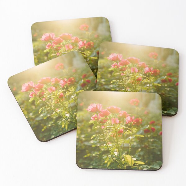 Item preview, Beautiful red and pink rose flowes blooming in the sunset garden, nature spring background designed and sold by dariazu.