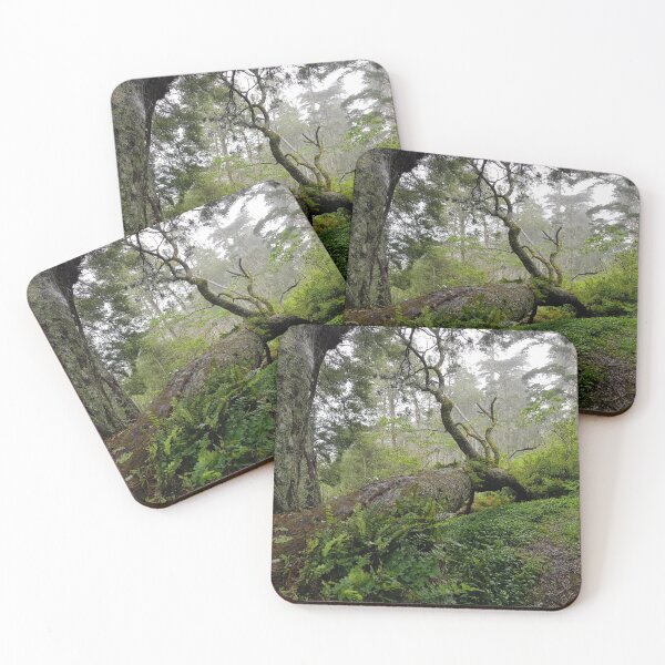 Item preview, Fallen tree in a forest, on St Helena Island designed and sold by island-girl-art.