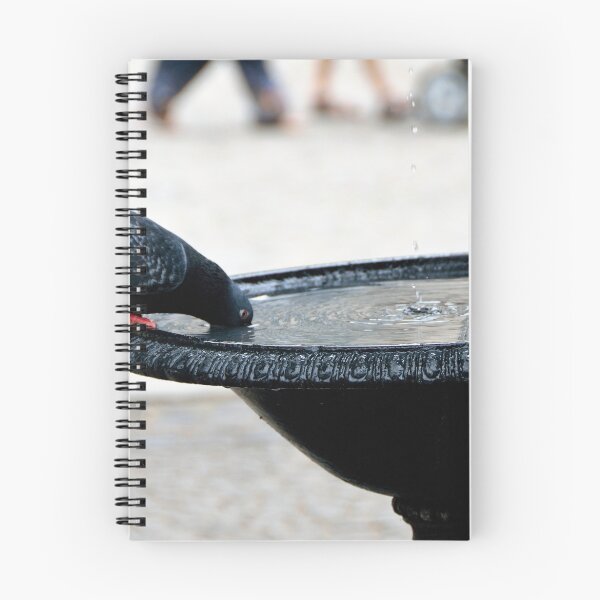 Item preview, Agua Pigeon Drinking designed and sold by Elzbieta Fazel.