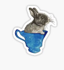 Follow The White Rabbit Sticker