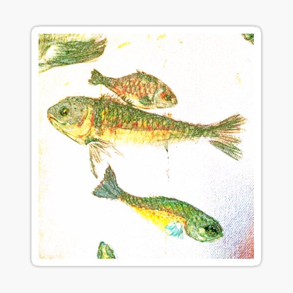 Aquarium pop Sticker