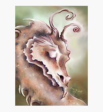Sleeping Dragon - Peace and Tranquility Photographic Print