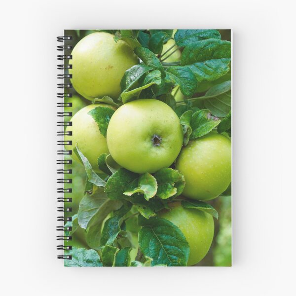 Item preview, Bunch Of Apples On Tree Branch - Healthy Fruit Abstract designed and sold by Harmony Of The Mind.