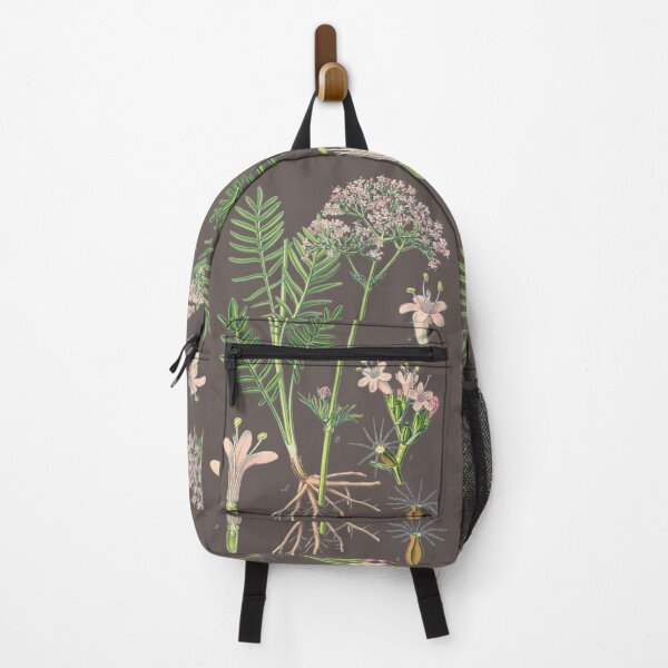 Item preview, Valeriana officinalis Flower, Valerian Plant Scientific Illustration designed and sold by LeAllureVintage.