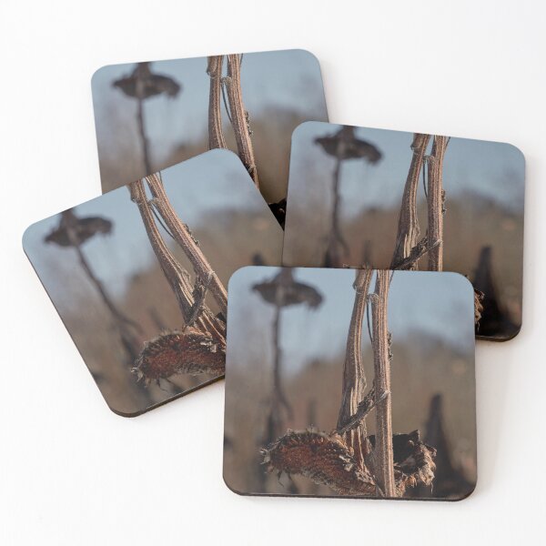 Item preview, Broken flowers designed and sold by Jouko Lehto Photography.