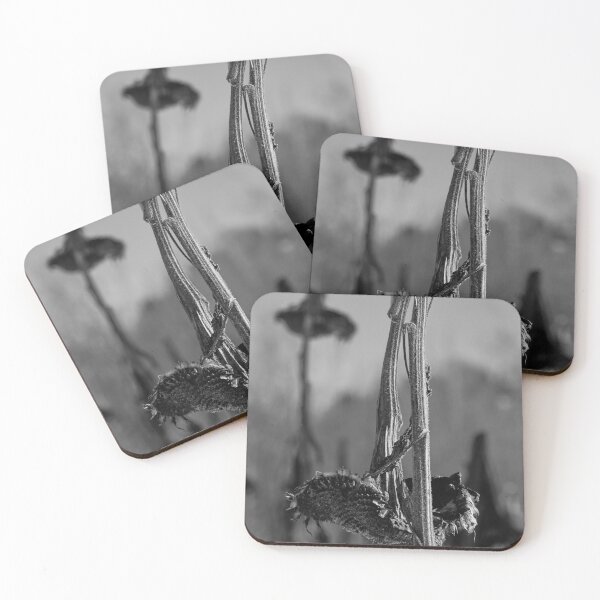 Item preview, Broken flowers bw designed and sold by Jouko Lehto Photography.