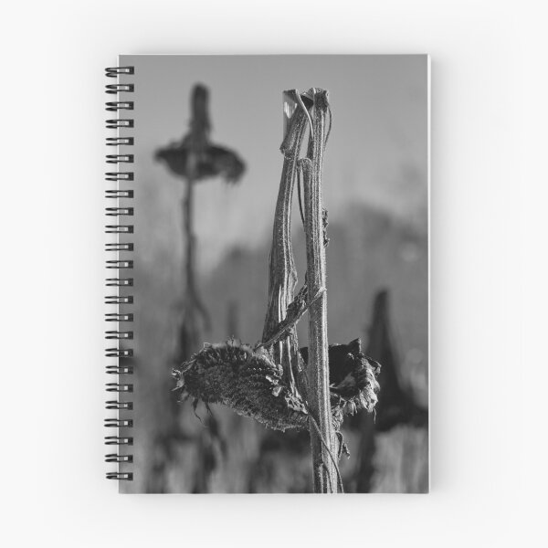 Artikelvorschau, Gebrochene Blumen bw entworfen und verkauft von Jouko Lehto Photography.
