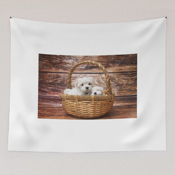 Item preview, Dog designed and sold by Demaxis.