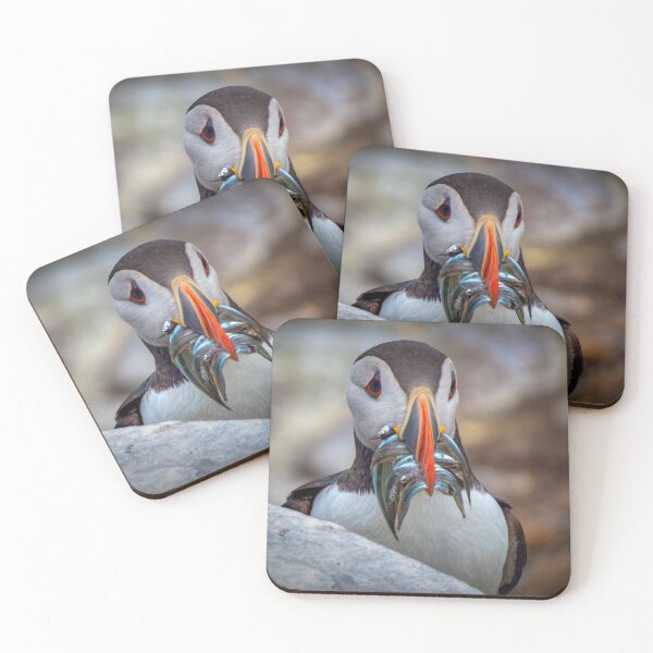Item preview, ¿Está despejada la costa? designed and sold by Viv Thompson Photography .