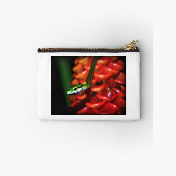 Item preview, Parrot Snake, (Leptophis ahaetulla ) designed and sold by MarceloSena.