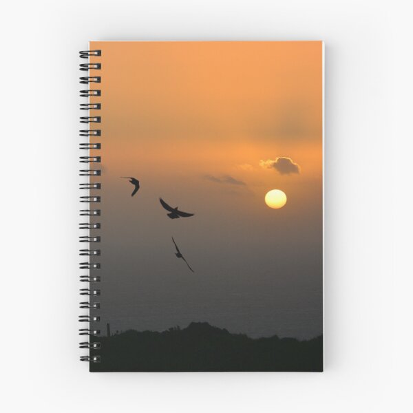 Item preview, Aves Ascending - photograph designed and sold by Paul Davenport.