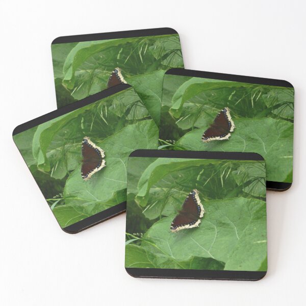 Item preview, Moth on leaf designed and sold by JennBBDesigns.