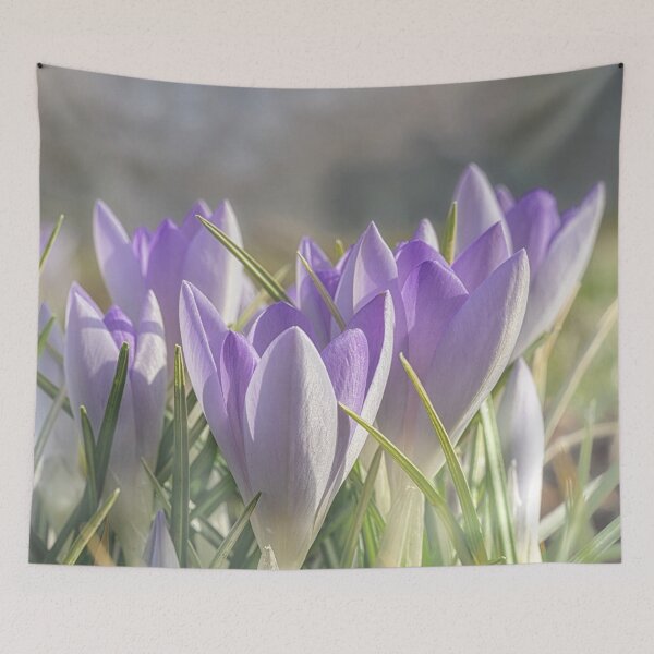 Item preview, Soft purple crocuses designed and sold by gelibolu.