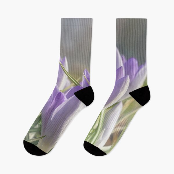 Item preview, Soft purple crocuses designed and sold by gelibolu.