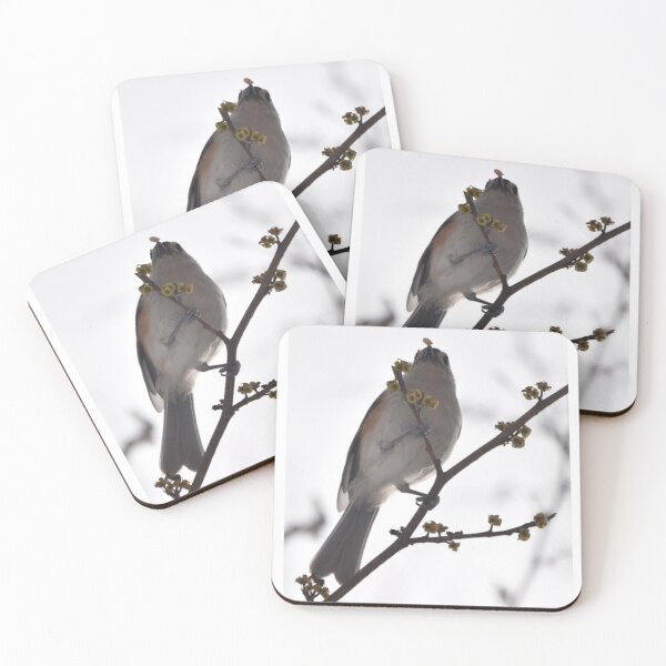 Item preview, Titmouse Bird eating on a branch designed and sold by PennyDesignsArt.