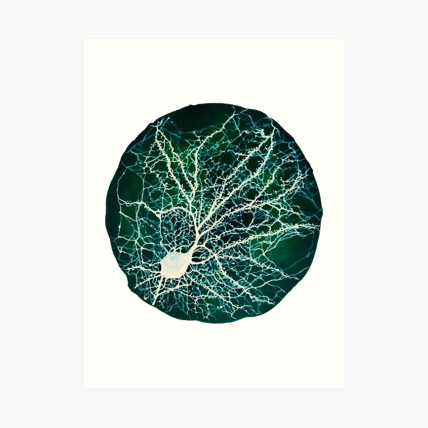 geeks de medicina y psicología por ahí!
Obra: representación de la neurona cultivada en el acuario Lámina artística