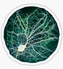 Dendritic tree and spines of an hippocampal neuron - Nebula Sticker