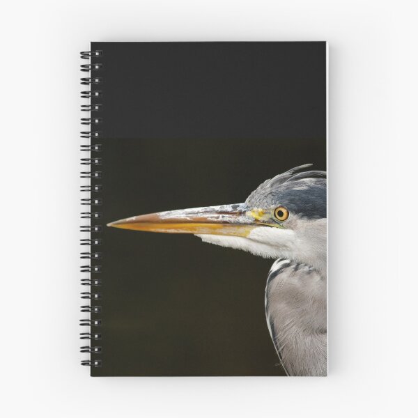 Artikelvorschau, Heron closeup entworfen und verkauft von Esther Moliné.