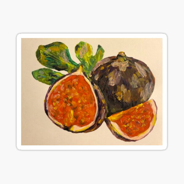 Item preview, Fig Study designed and sold by maggiemaylong.