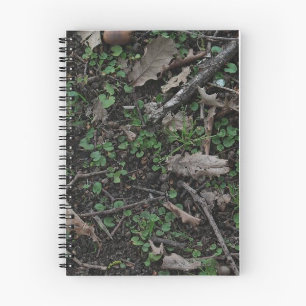 Item preview, Dirt, Grass, Sticks and Acorns designed and sold by Floramisu.