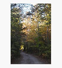 The dirt road golden autumn moment Photographic Print