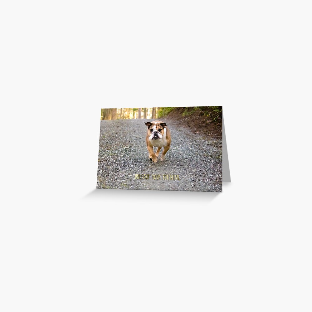 Unleash Your Potential Greeting Card Greeting Card