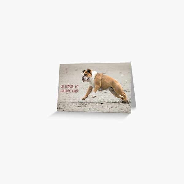 Birthday Cake Greeting Card Greeting Card