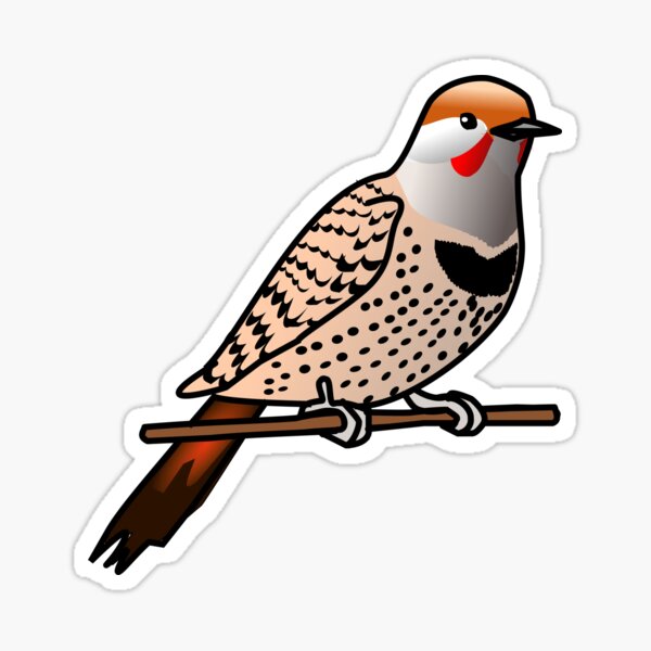 northern flicker painting